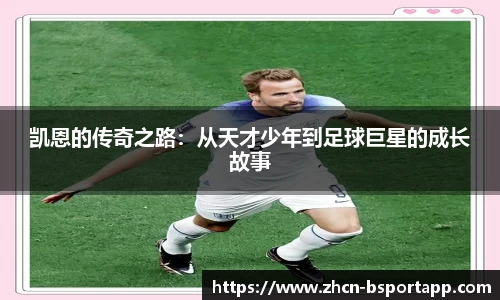 B体育官方